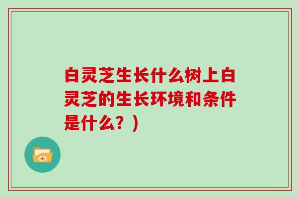 白灵芝生长什么树上白灵芝的生长环境和条件是什么?) 白灵芝生长什么树上白灵芝的生长环境和条件是什么?)
