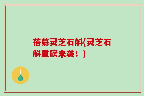 蓓慕灵芝石斛(灵芝石斛重磅来袭！)