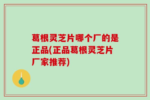 葛根灵芝片哪个厂的是正品(正品葛根灵芝片厂家推荐) 葛根灵芝片哪个厂的是正品(正品葛根灵芝片厂家推荐)
