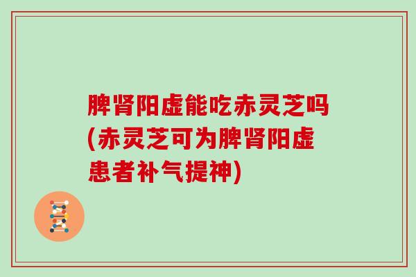 脾阳虚能吃赤灵芝吗(赤灵芝可为脾阳虚患者提神) 脾阳虚能吃赤灵芝吗(赤灵芝可为脾阳虚患者提神)