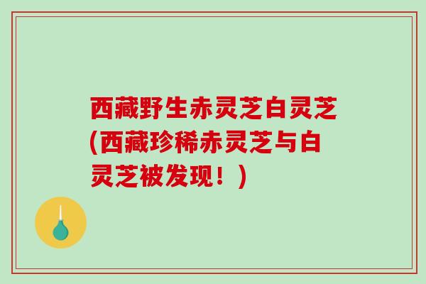西藏野生赤灵芝白灵芝(西藏珍稀赤灵芝与白灵芝被发现！)