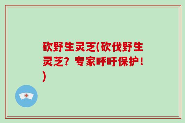 砍野生灵芝(砍伐野生灵芝？专家呼吁保护！)