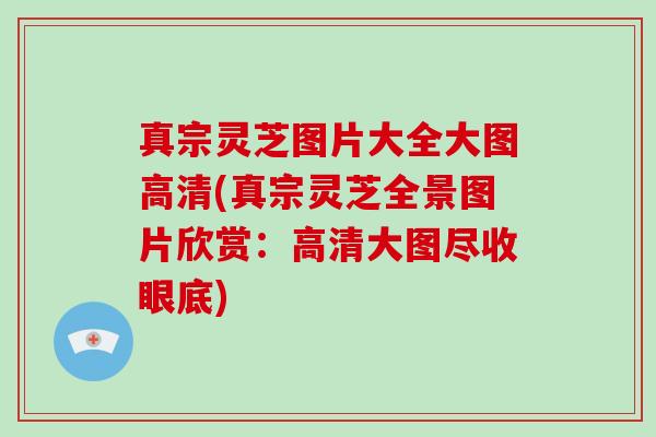 真宗灵芝图片大全大图高清(真宗灵芝全景图片欣赏：高清大图尽收眼底)