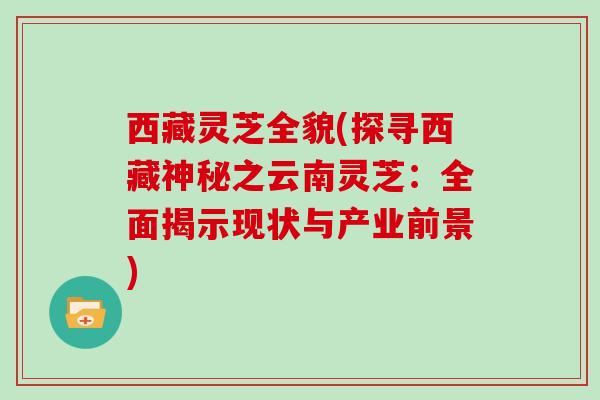 西藏灵芝全貌(探寻西藏神秘之云南灵芝：全面揭示现状与产业前景)
