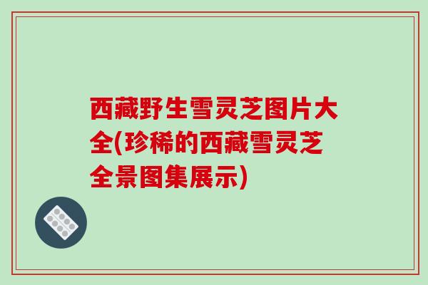 西藏野生雪灵芝图片大全(珍稀的西藏雪灵芝全景图集展示)