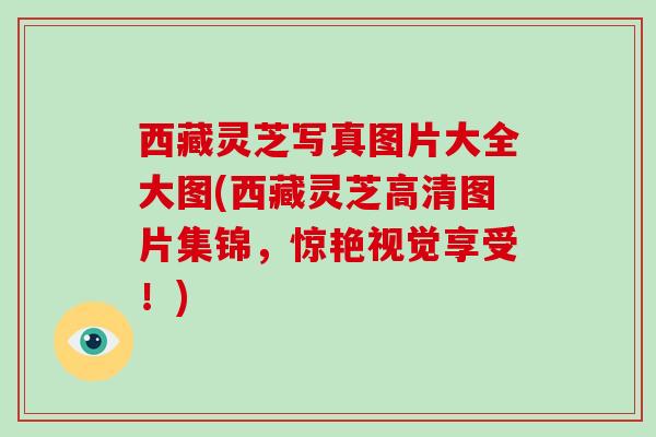 西藏灵芝写真图片大全大图(西藏灵芝高清图片集锦，惊艳视觉享受！)