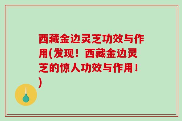 西藏金边灵芝功效与作用(发现！西藏金边灵芝的惊人功效与作用！)