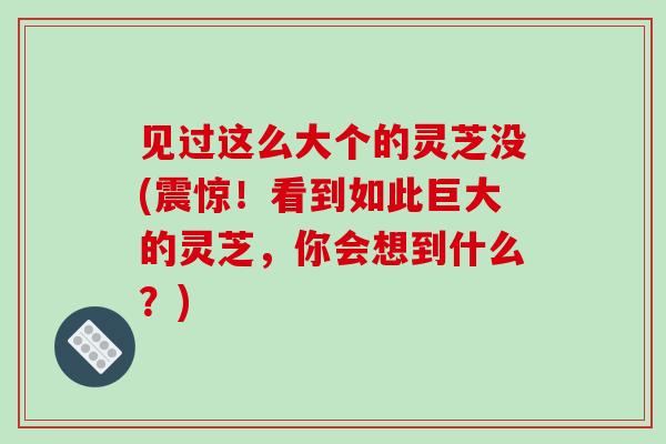 见过这么大个的灵芝没(震惊！看到如此巨大的灵芝，你会想到什么？)