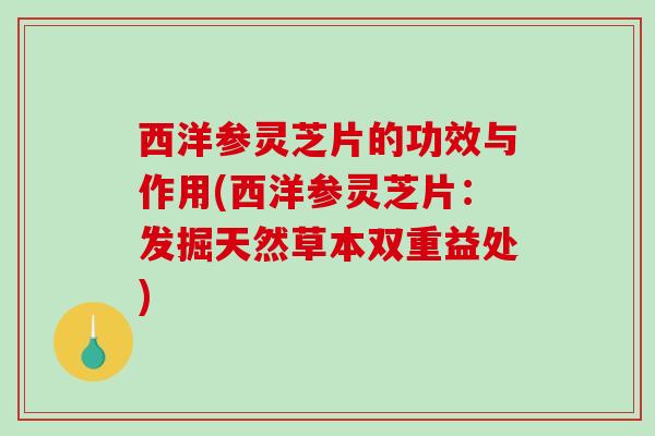 西洋参灵芝片的功效与作用(西洋参灵芝片：发掘天然草本双重益处)