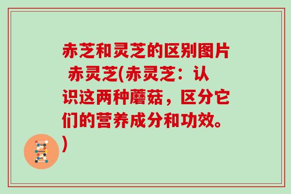 赤芝和灵芝的区别图片 赤灵芝(赤灵芝：认识这两种蘑菇，区分它们的营养成分和功效。)