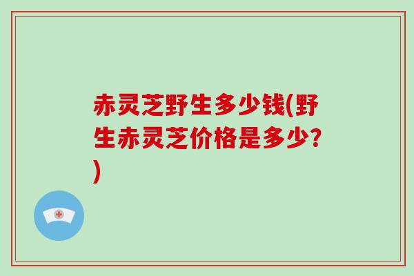 赤灵芝野生多少钱(野生赤灵芝价格是多少？)