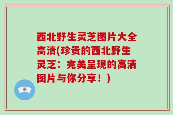 西北野生灵芝图片大全高清(珍贵的西北野生灵芝：完美呈现的高清图片与你分享！)