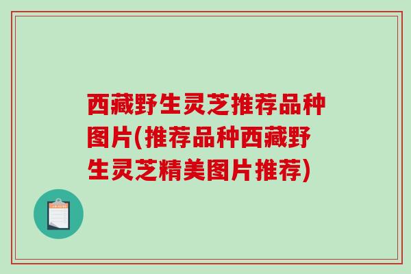 西藏野生灵芝推荐品种图片(推荐品种西藏野生灵芝精美图片推荐)