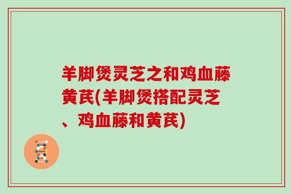 羊脚煲灵芝之和鸡藤黄芪(羊脚煲搭配灵芝、鸡藤和黄芪)