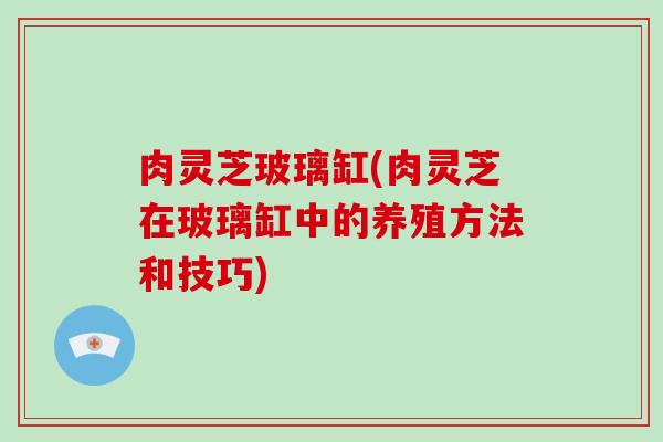 肉灵芝玻璃缸(肉灵芝在玻璃缸中的养殖方法和技巧)
