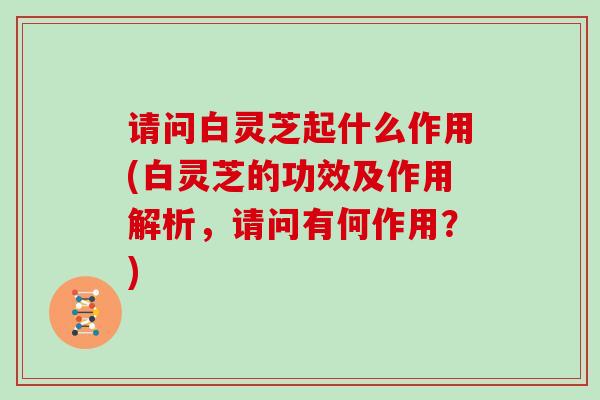 请问白灵芝起什么作用(白灵芝的功效及作用解析，请问有何作用？)