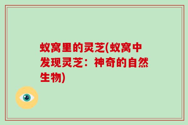 蚁窝里的灵芝(蚁窝中发现灵芝：神奇的自然生物)