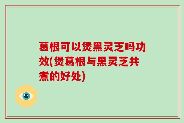 葛根可以煲黑灵芝吗功效(煲葛根与黑灵芝共煮的好处)