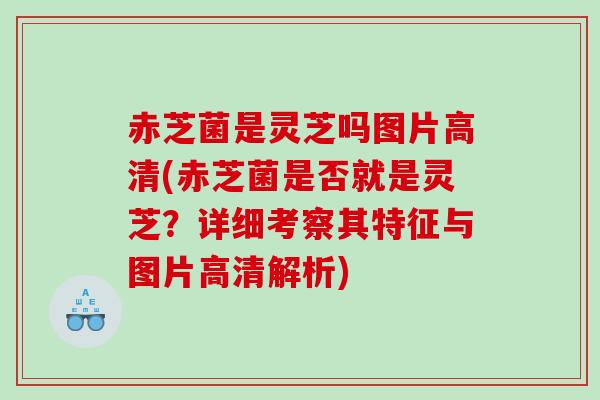赤芝菌是灵芝吗图片高清(赤芝菌是否就是灵芝？详细考察其特征与图片高清解析)