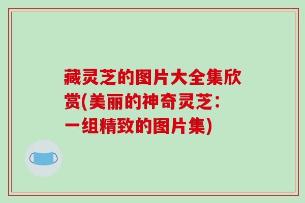 藏灵芝的图片大全集欣赏(美丽的神奇灵芝：一组精致的图片集)