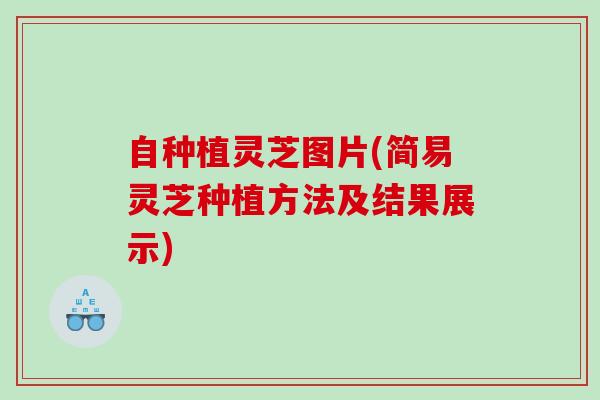 自种植灵芝图片(简易灵芝种植方法及结果展示)