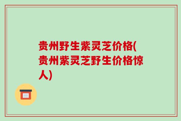 贵州野生紫灵芝价格(贵州紫灵芝野生价格惊人)