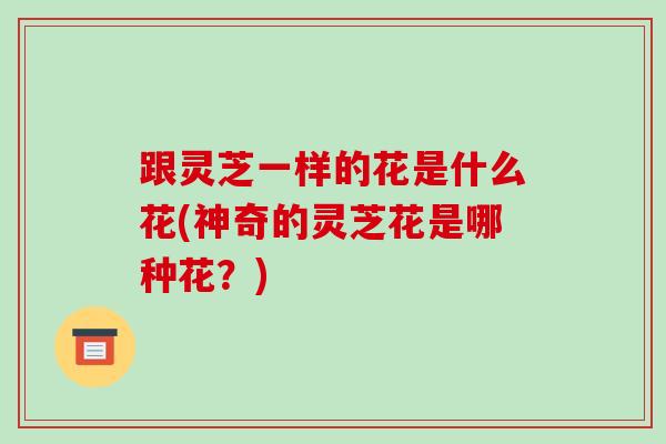 跟灵芝一样的花是什么花(神奇的灵芝花是哪种花？)