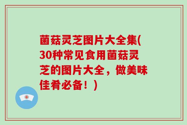 菌菇灵芝图片大全集(30种常见食用菌菇灵芝的图片大全，做美味佳肴必备！)