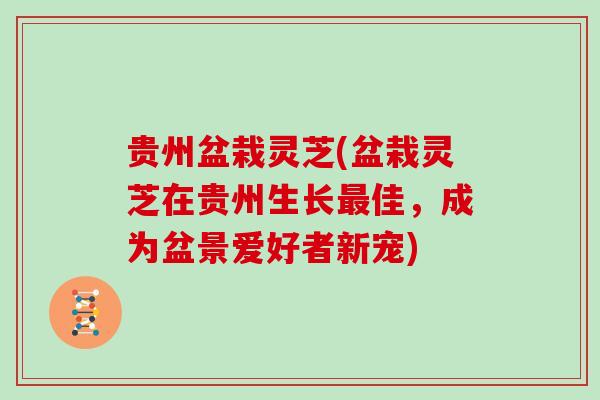 贵州盆栽灵芝(盆栽灵芝在贵州生长佳，成为盆景爱好者新宠)