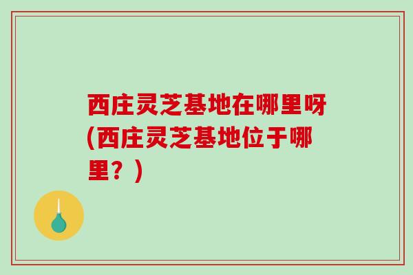 西庄灵芝基地在哪里呀(西庄灵芝基地位于哪里？)
