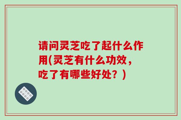 请问灵芝吃了起什么作用(灵芝有什么功效，吃了有哪些好处？)