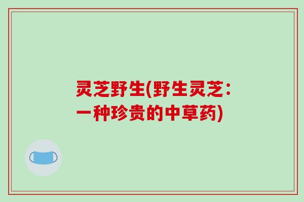 灵芝野生(野生灵芝：一种珍贵的中草药)