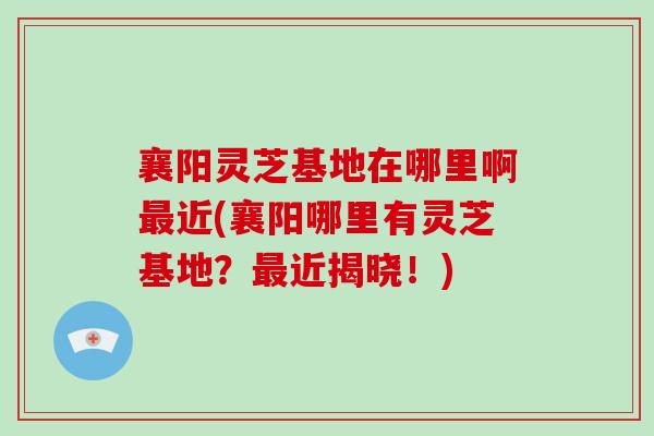 襄阳灵芝基地在哪里啊近(襄阳哪里有灵芝基地？近揭晓！)