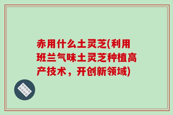赤用什么土灵芝(利用班兰气味土灵芝种植高产技术，开创新领域)