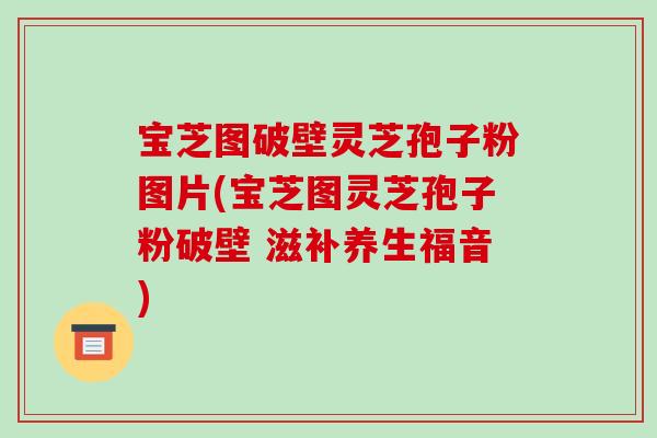 宝芝图破壁灵芝孢子粉图片(宝芝图灵芝孢子粉破壁 滋补养生福音)