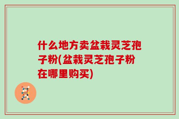 什么地方卖盆栽灵芝孢子粉(盆栽灵芝孢子粉在哪里购买)