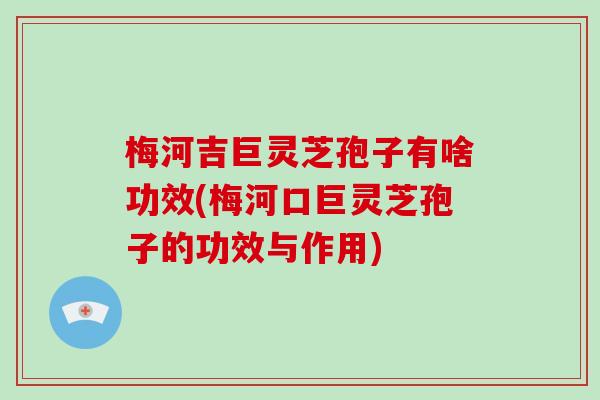 梅河吉巨灵芝孢子有啥功效(梅河口巨灵芝孢子的功效与作用)