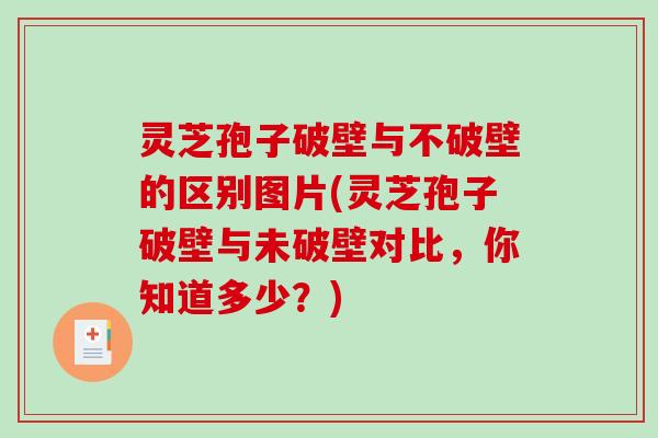 灵芝孢子破壁与不破壁的区别图片(灵芝孢子破壁与未破壁对比,你知道多少?) 灵芝孢子破壁与不破壁的区别图片(灵芝孢子破壁与未破壁对比,你知道多少?)