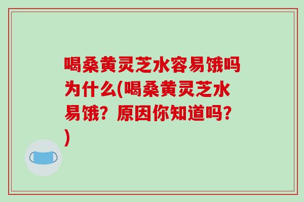 喝桑黄灵芝水容易饿吗为什么(喝桑黄灵芝水易饿？原因你知道吗？)