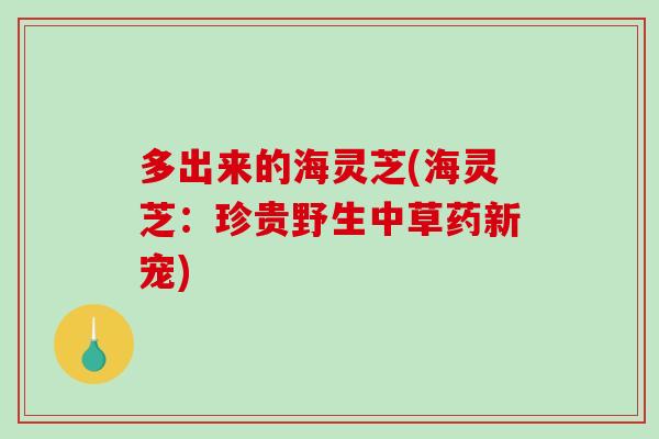 多出来的海灵芝(海灵芝：珍贵野生中草药新宠)