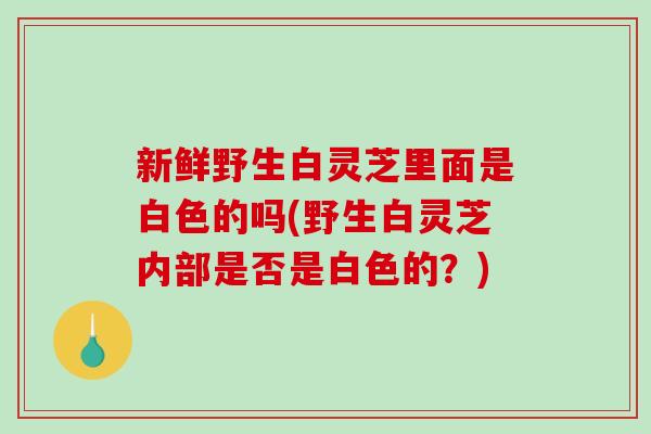 新鲜野生白灵芝里面是白色的吗(野生白灵芝内部是否是白色的？)