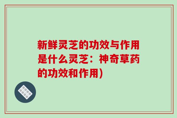 新鲜灵芝的功效与作用是什么灵芝：神奇草药的功效和作用)