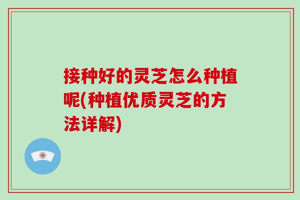接种好的灵芝怎么种植呢(种植优质灵芝的方法详解)