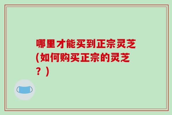 哪里才能买到正宗灵芝(如何购买正宗的灵芝？)