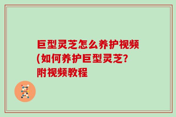 巨型灵芝怎么养护视频(如何养护巨型灵芝？附视频教程