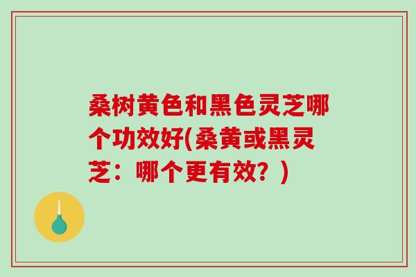 桑树黄色和黑色灵芝哪个功效好(桑黄或黑灵芝：哪个更有效？)