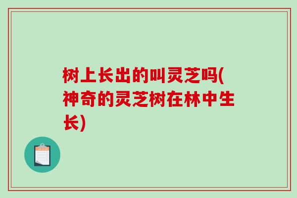 树上长出的叫灵芝吗(神奇的灵芝树在林中生长)
