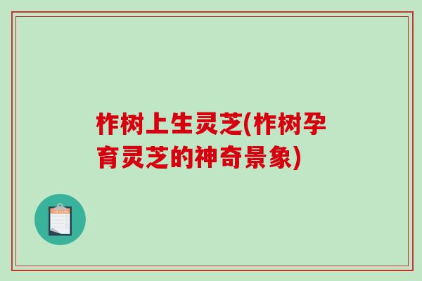 柞树上生灵芝(柞树孕育灵芝的神奇景象)