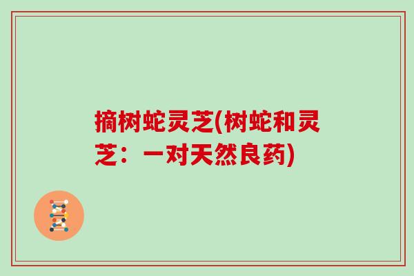 摘树蛇灵芝(树蛇和灵芝：一对天然良药)