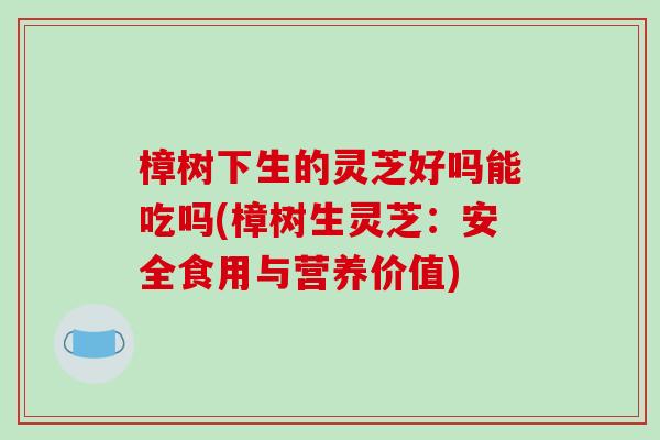 樟树下生的灵芝好吗能吃吗(樟树生灵芝:安全食用与营养价值) 樟树下生的灵芝好吗能吃吗(樟树生灵芝:安全食用与营养价值)